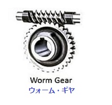 Worm gear